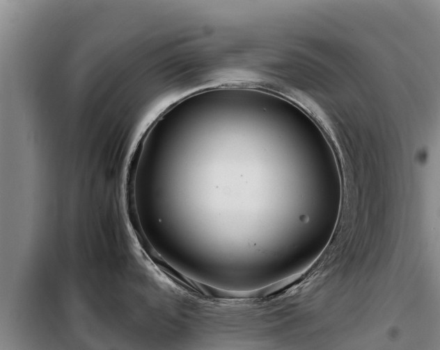 X0000099311488200805091006