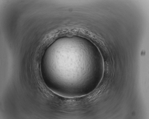 X0000099311489200805091005