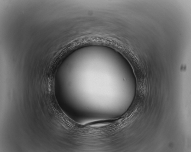 X0000099311490200805091005