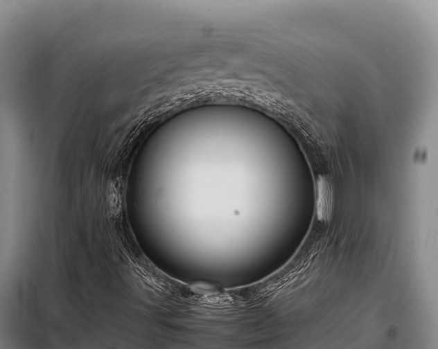 X0000099311491200805091005