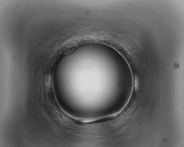 X0000099311492200805091005