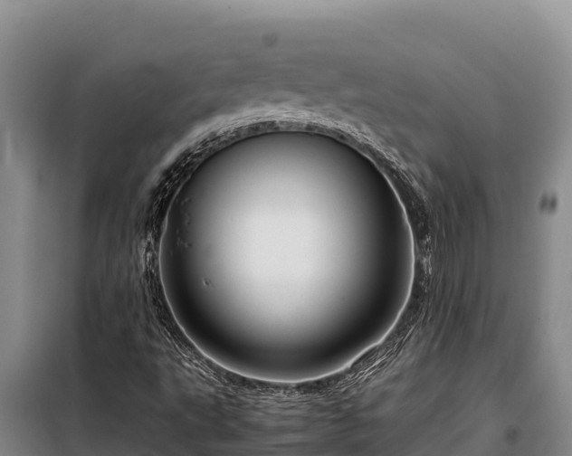 X0000099311495200805091005
