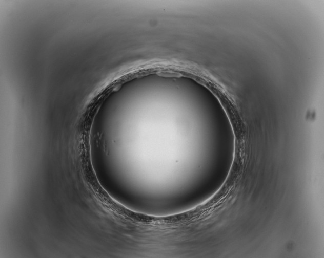 X0000099311496200805091005