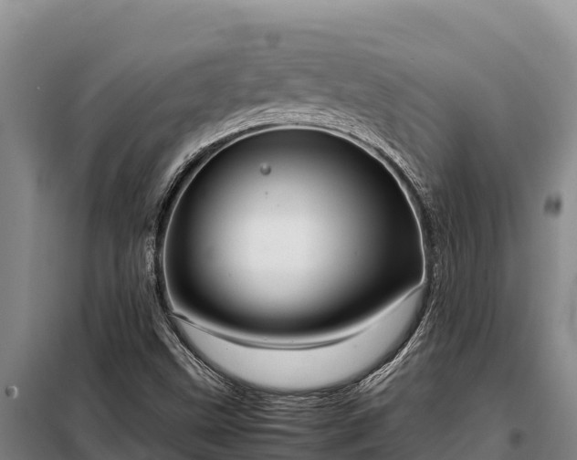 X0000099311499200805091005