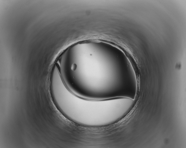 X0000099311500200805091005