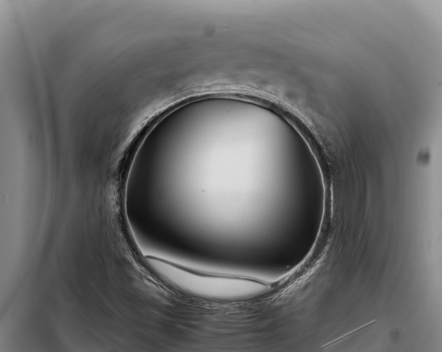 X0000099311501200805091005