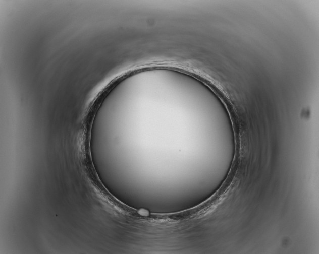 X0000099311502200805091005