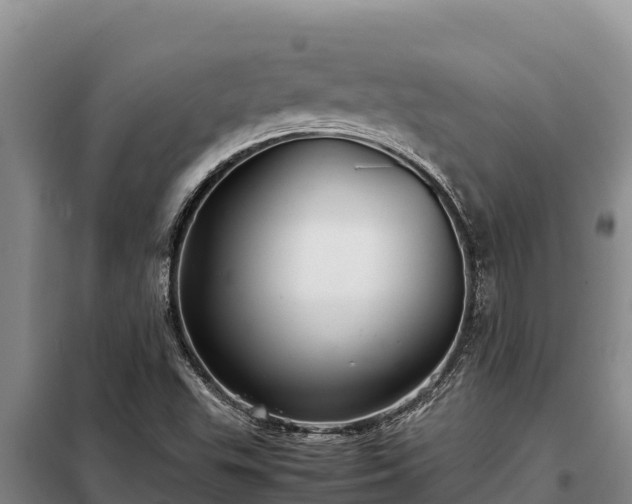 X0000099311503200805091005