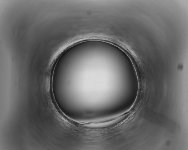 X0000099311504200805091005