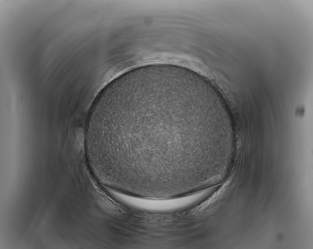 X0000099311505200805091005