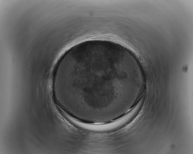 X0000099311506200805091005