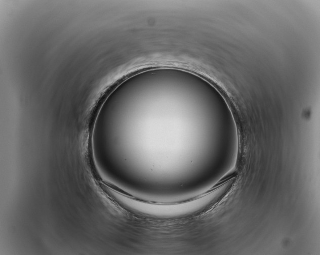 X0000099311507200805091005