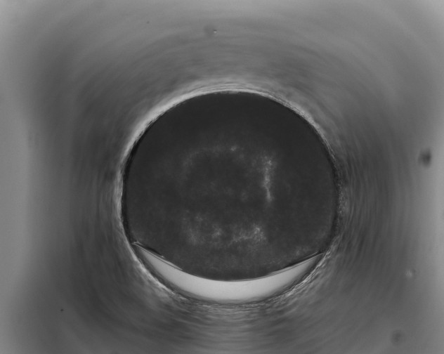 X0000099311508200805091005