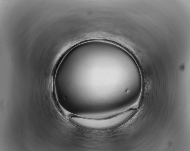 X0000099311509200805091005