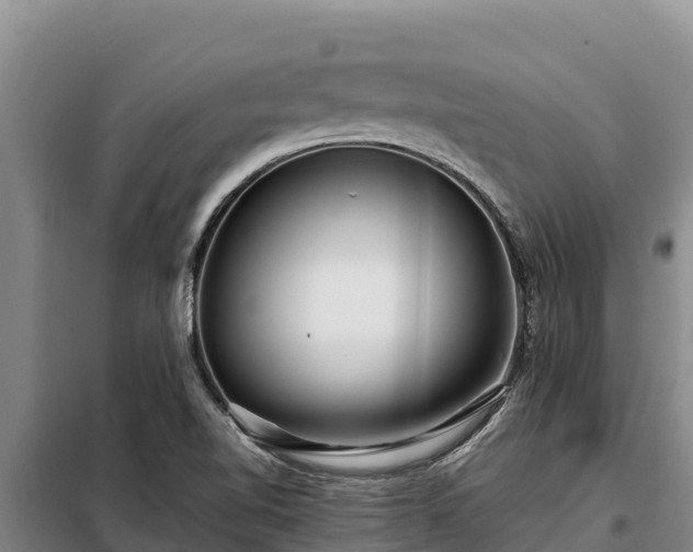 X0000099311510200805091005