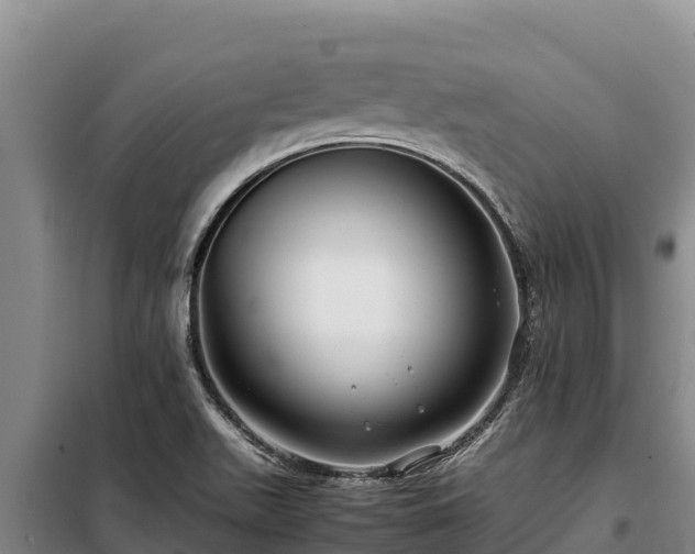 X0000099311511200805091005