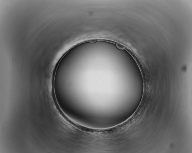 X0000099311512200805091005