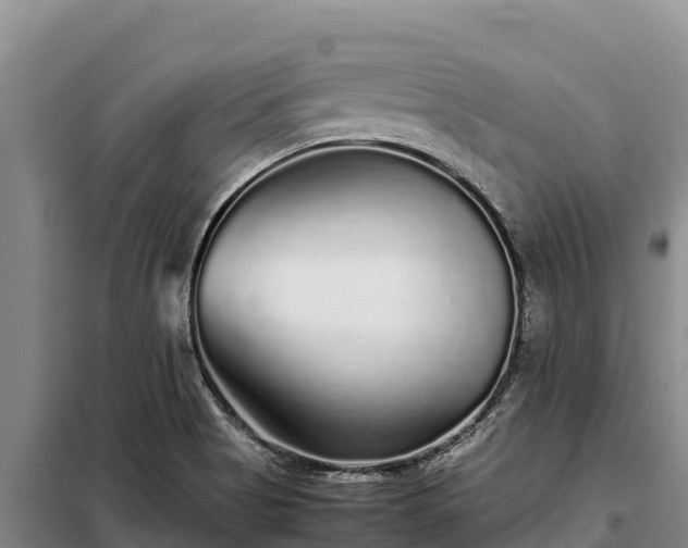 X0000099311513200805091005