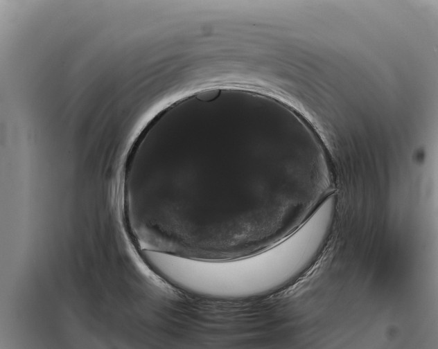 X0000099311515200805091006