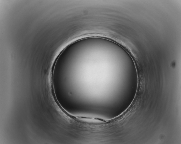 X0000099311516200805091006