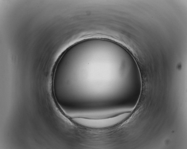 X0000099311518200805091006
