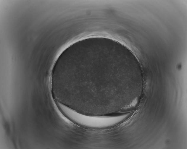 X0000099311519200805091006