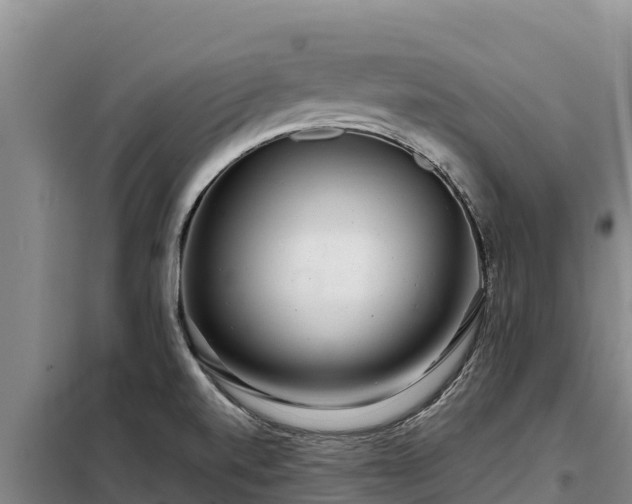 X0000099311520200805091006