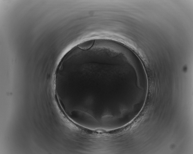 X0000099311522200805091006