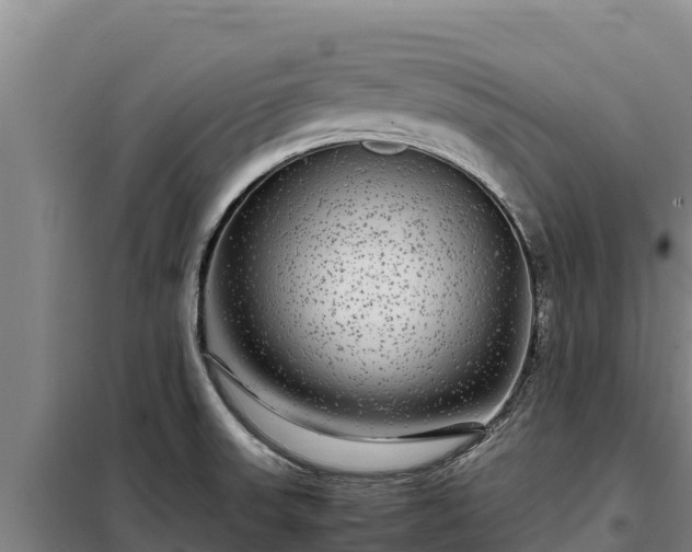 X0000099311523200805091006