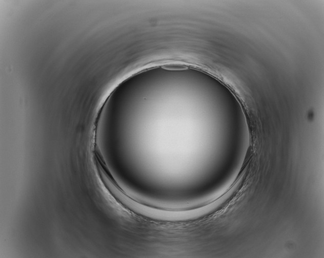 X0000099311524200805091006