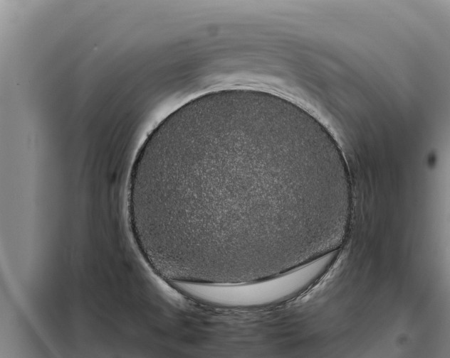 X0000099311525200805091006
