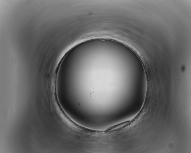 X0000099311526200805091006