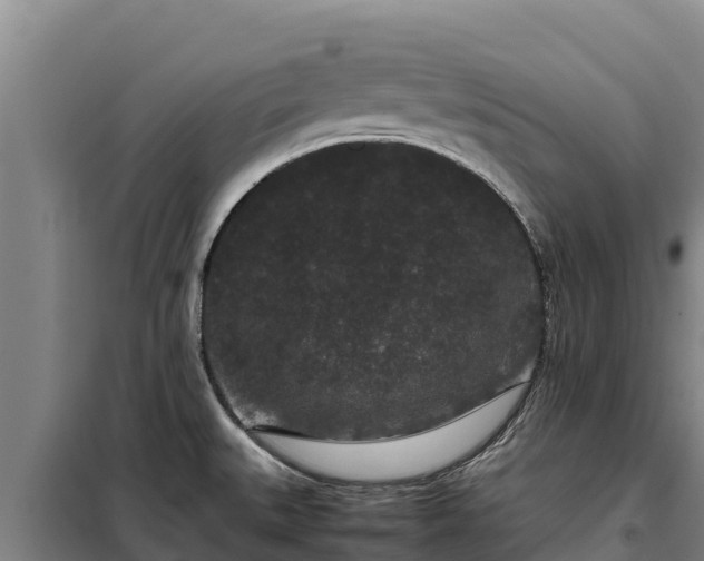 X0000099311527200805091006