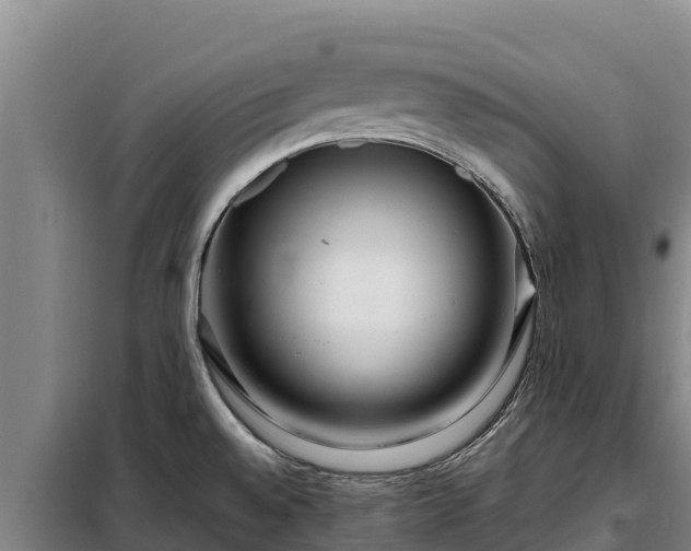 X0000099311528200805091006