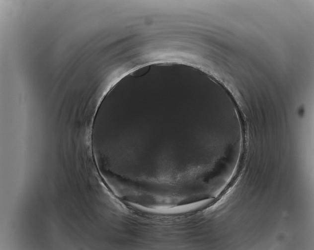 X0000099311529200805091006