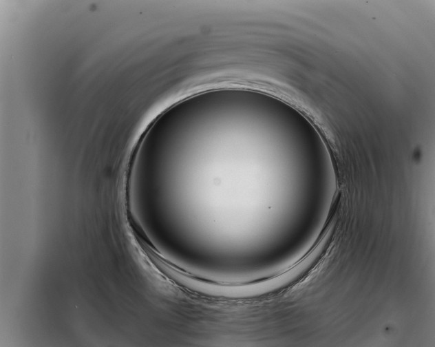 X0000099311530200805091006