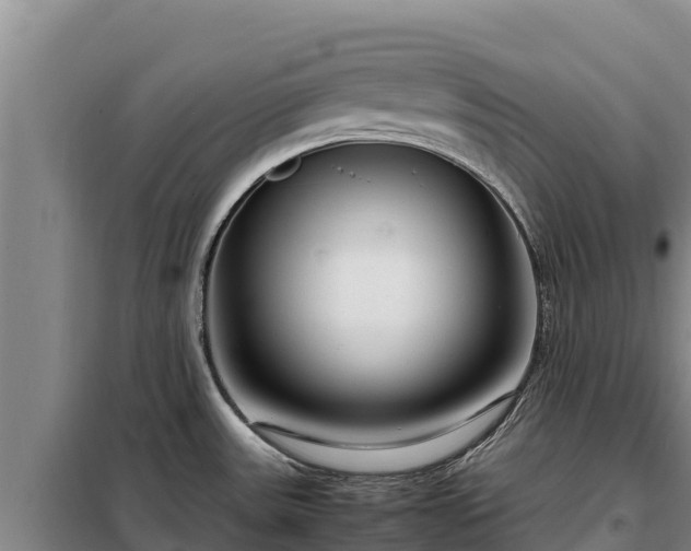 X0000099311531200805091006