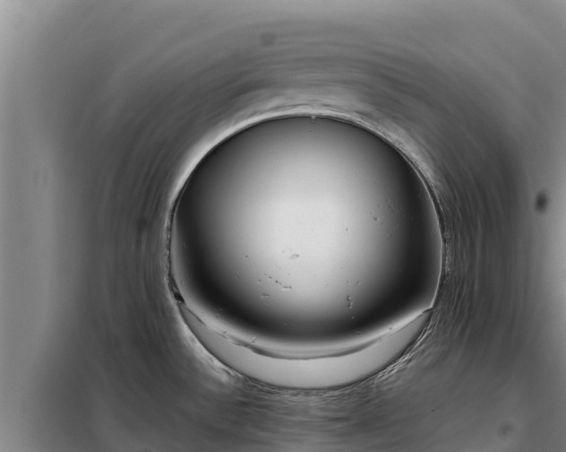X0000099311532200805091006