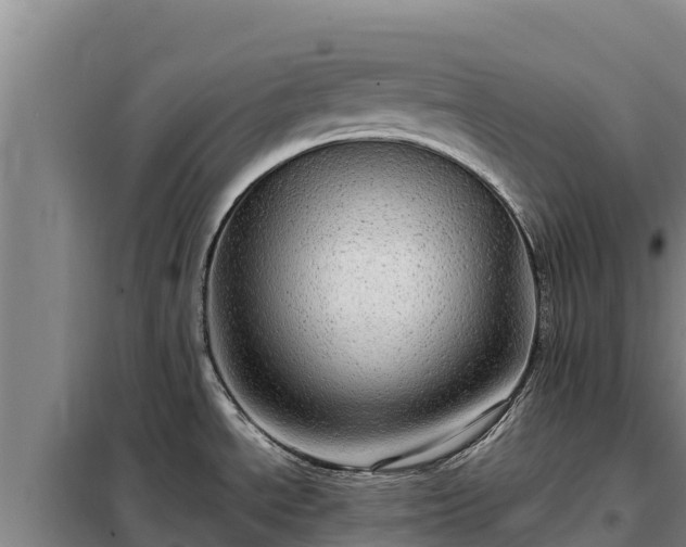 X0000099311534200805091006