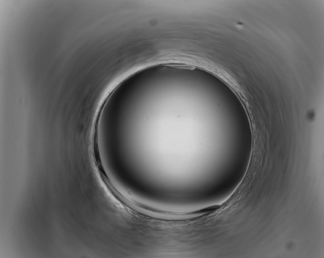 X0000099311536200805091006