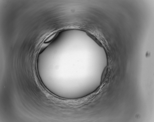 X0000099310001200805161424