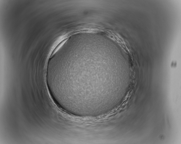 X0000099310003200805161424