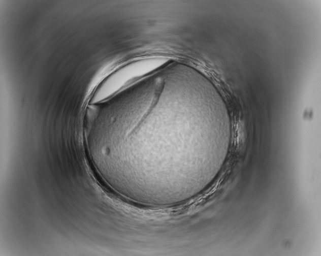 X0000099310004200805161424