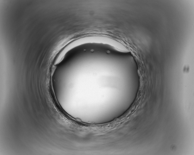 X0000099310005200805161424