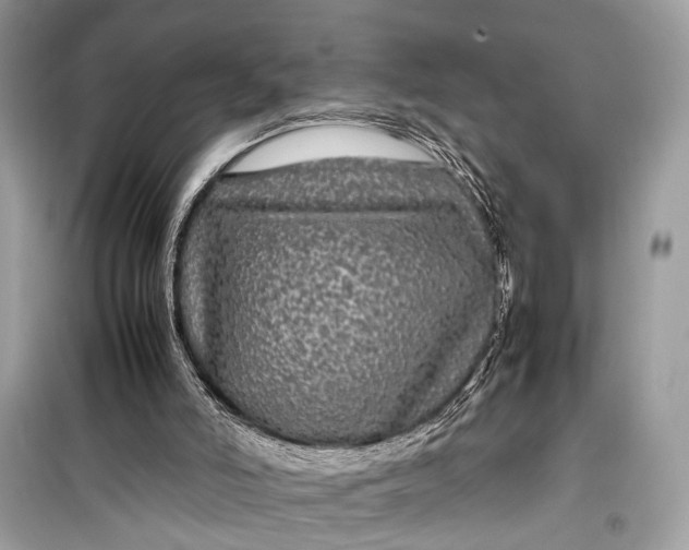 X0000099310006200805161424