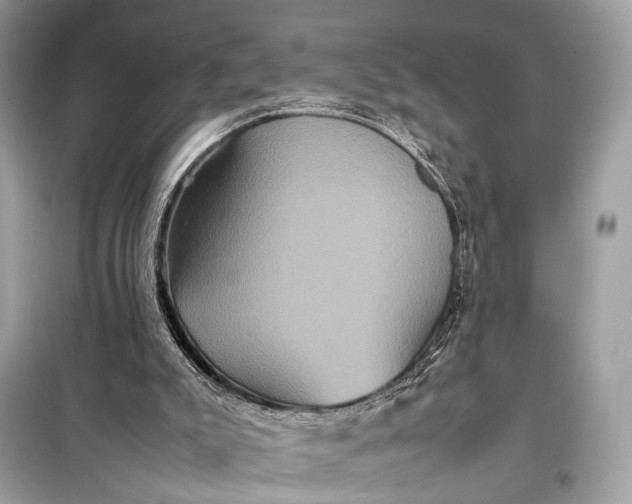 X0000099310007200805161424