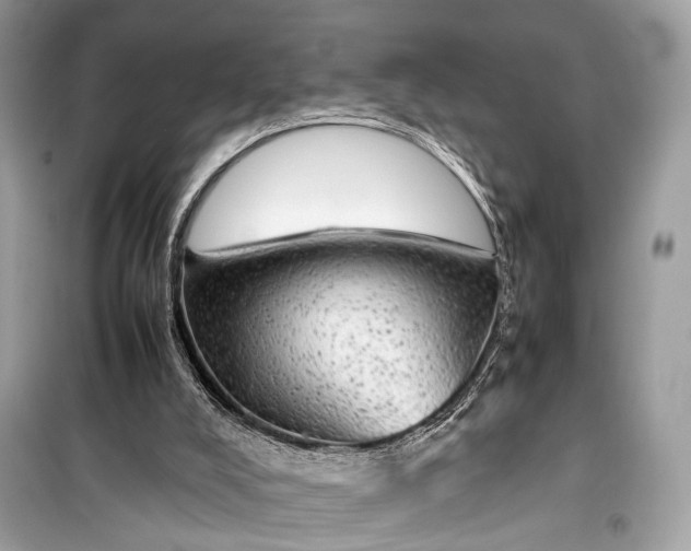 X0000099310008200805161424