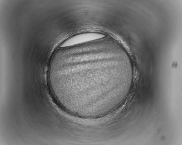 X0000099310010200805161424