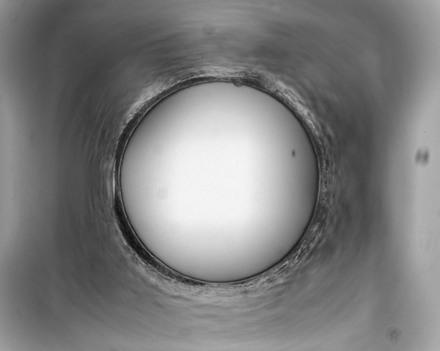 X0000099310011200805161424