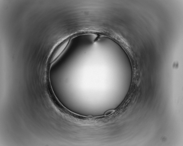 X0000099310012200805161424